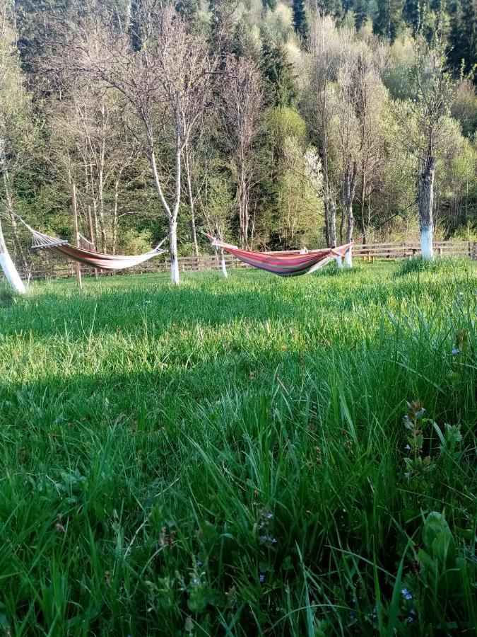 Farm stay Casa Ursului