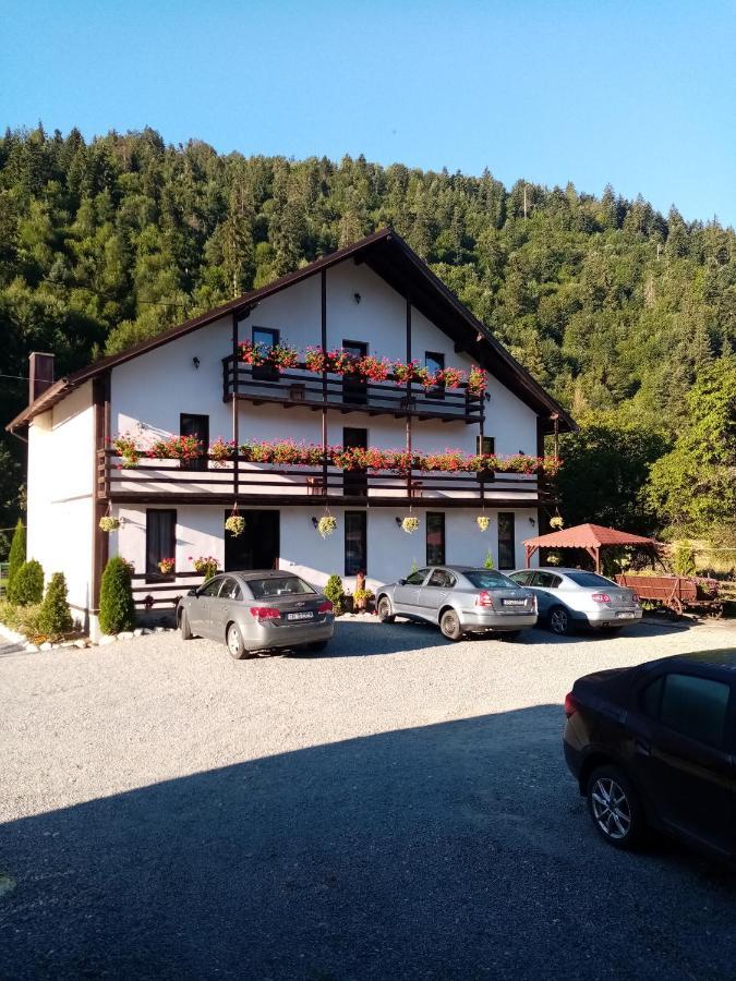 Casa Ursului