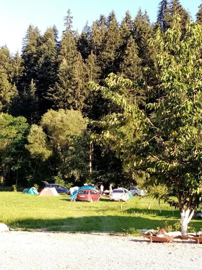 Farm stay Casa Ursului