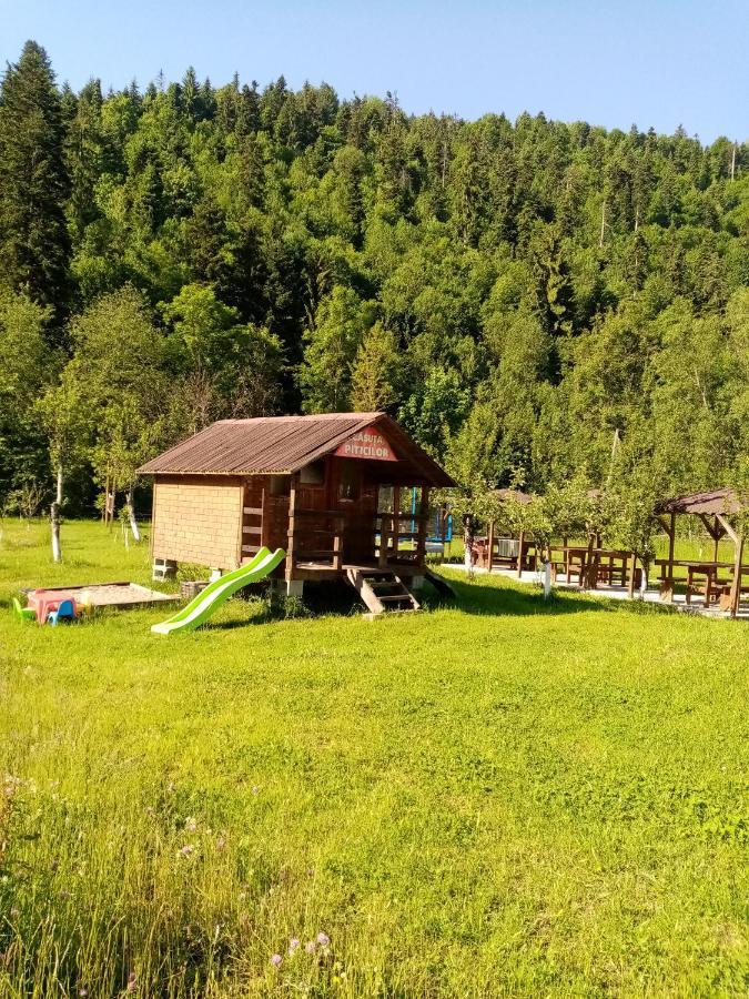 Farm stay Casa Ursului *