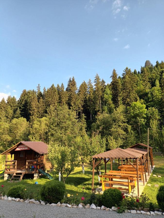 Casa Ursului Vadu Motilor