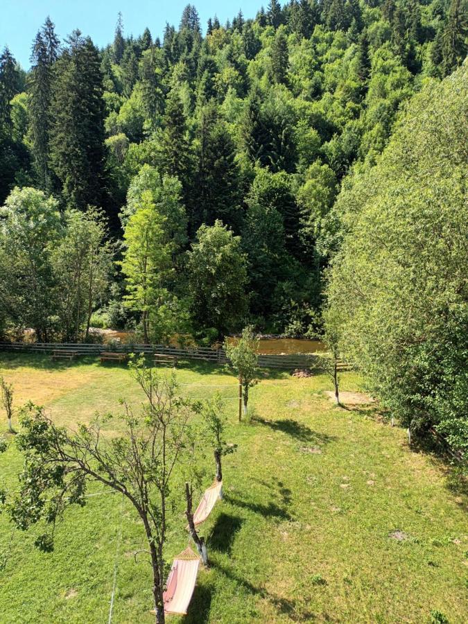 Farm stay Casa Ursului