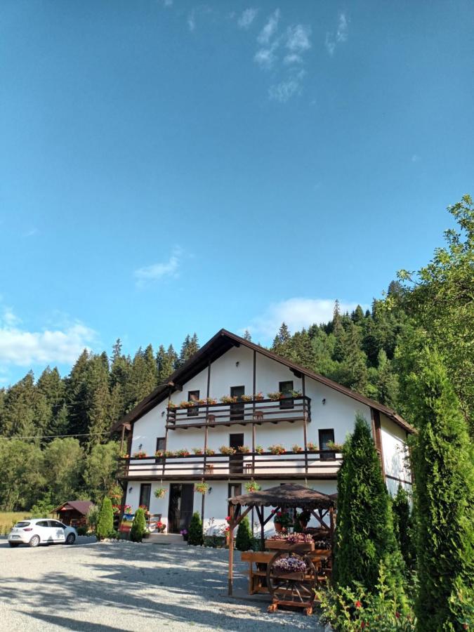 Casa Ursului * Vadu Motilor