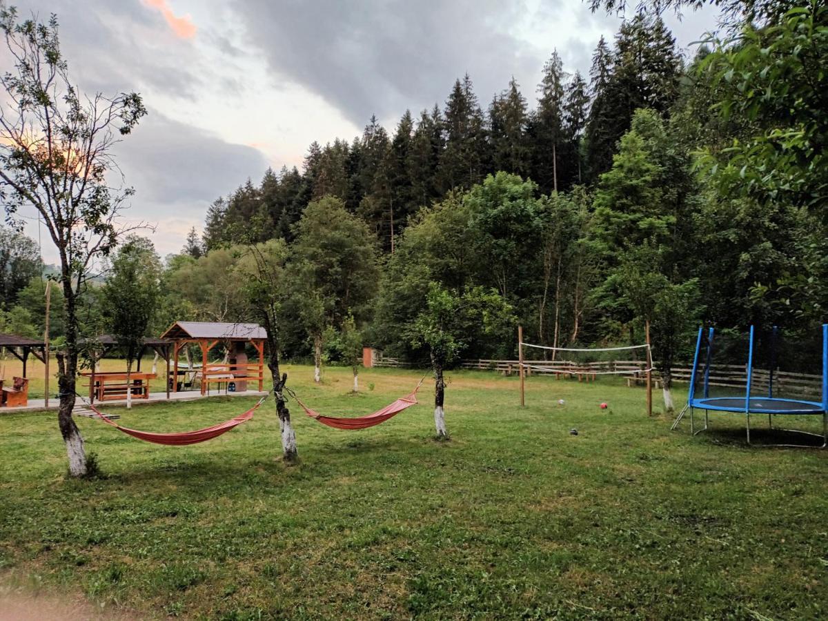 Casa Ursului * Vadu Motilor